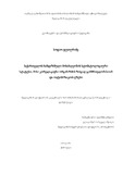Disertacia.pdf.jpg