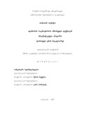 Disertacia.pdf.jpg
