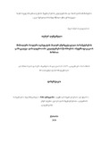 Disertacia.pdf.jpg