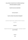 Disertacia.pdf.jpg