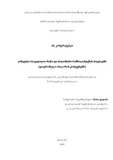 Disertacia.pdf.jpg