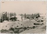 Mgeladze-043.jpg.jpg