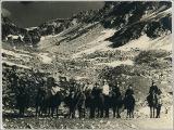 Mgeladze-049.jpg.jpg