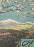 Niangi_1959_N7.pdf.jpg