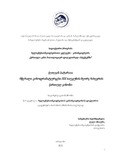 Pataraia_Qetevan_Disertacia.pdf.jpg