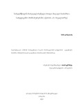 Gorgiladze_Nino_Disertacia.pdf.jpg