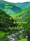 Goderzi_Coxelis_Bediswera_2024.pdf.jpg