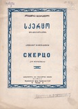 M_18626_3_Skerco_Aleksandre_Shaverzashvili.pdf.jpg