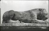 Erovnuli_Biblioteka-1735.jpg.jpg