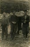 Giorgi_Jafaridze-003.jpg.jpg