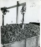 gvinis erovnuli saagento-046.jpg.jpg
