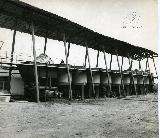 gvinis erovnuli saagento-083.jpg.jpg
