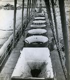 gvinis erovnuli saagento-087.jpg.jpg