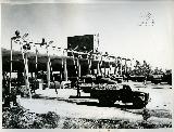 gvinis erovnuli saagento-102.jpg.jpg