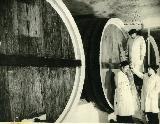 mishiko_nikolaishvili- 120.jpg.jpg
