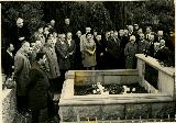 mishiko_nikolaishvili- 089.jpg.jpg