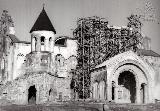 Bagratis tadzari.jpg.jpg